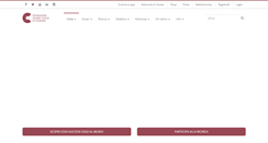 Desktop Screenshot of museocivico.rovereto.tn.it